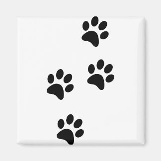 Íman Ame As Minhas Patas