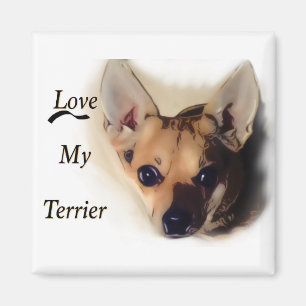 Íman Ame meu ímã do terrier