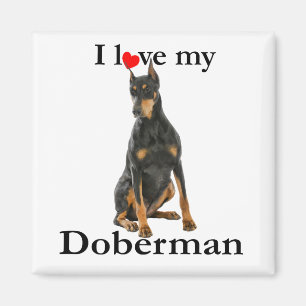 Íman Ame Meu Magnet Doberman