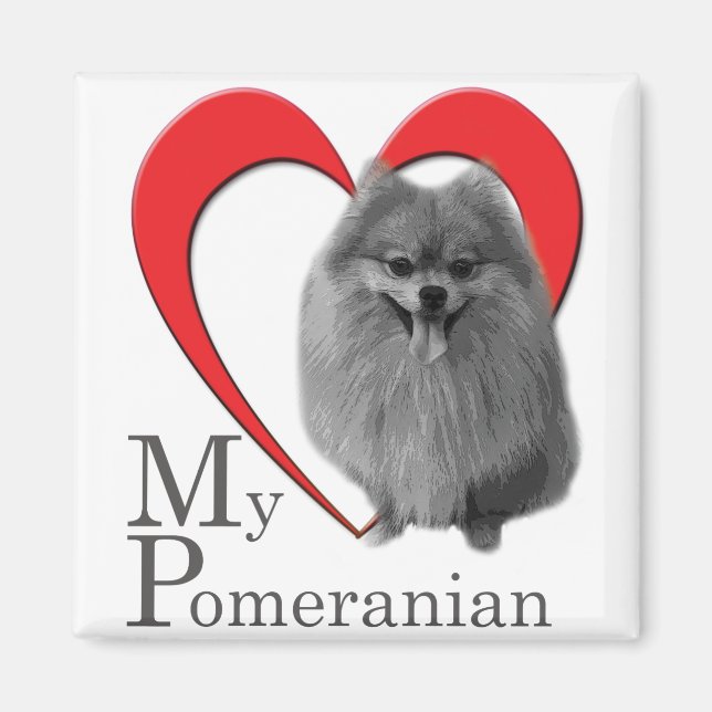 Íman Ame Meu Pomeraniano (Frente)