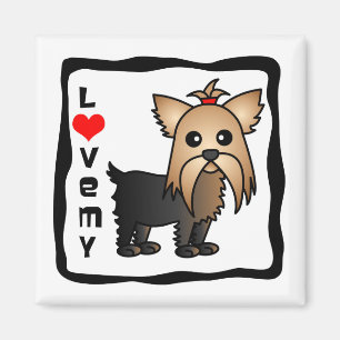 Íman Ame meu yorkshire terrier