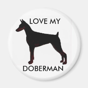 ÍMAN AME O MEU, DOBERMAN