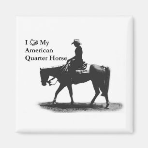 Íman Ame o meu ímã Quarter Horse