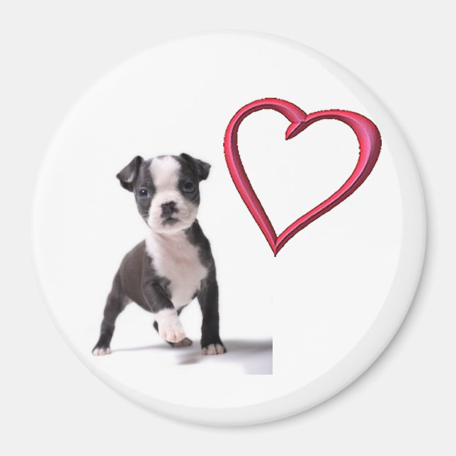 Íman Ame O Meu Magnetinho De Cachorro De Boston (Frente)