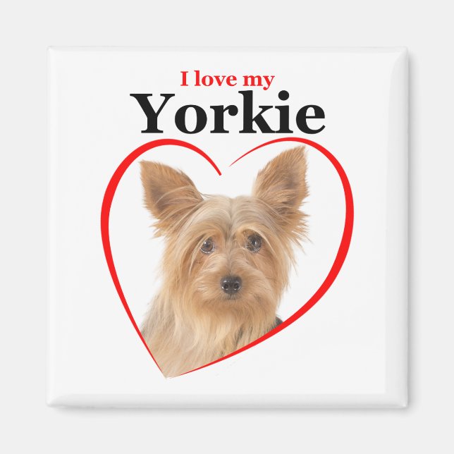 Íman Ame o meu Yorkie Magnet (Frente)