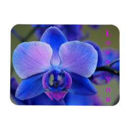 Íman Ame-te Magneta Orquídea Azul e Rosa Suave