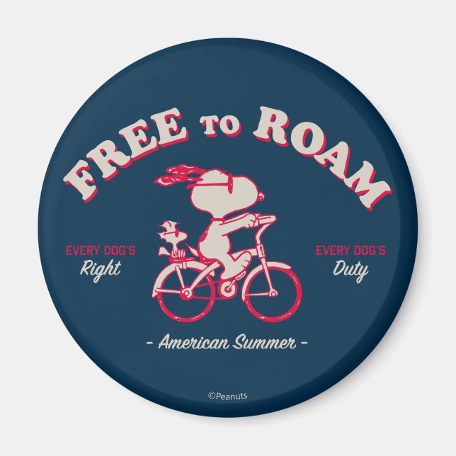Íman Amendoins | American Summer Free Roam (Frente)