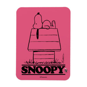 Íman Amendoins   Esnopiar O Segredo Da Vida