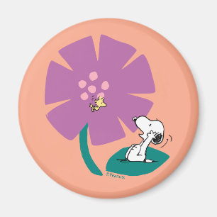 Íman Amendoins   Ilustração da Natureza: Flor Roxo