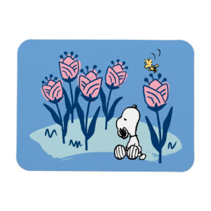 Íman Amendoins   Jardim da Flor de Esnoopia e Madeira