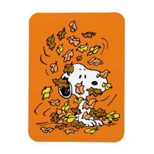 Íman Amendoins   Pilha de Esnoopia de Folhas