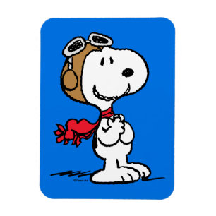 Íman Amendoins   Snoopy O Áce Voador