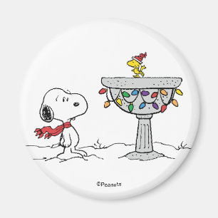 Íman Amendoins Snoopy & Woodstock congelado