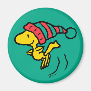 Íman Amendoins Woodstock Winter Beanie Boné