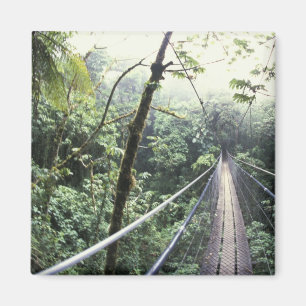 Íman América Central, Costa Rica, Nuvem Monteverde