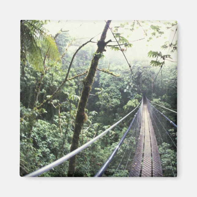 Íman América Central, Costa Rica, Nuvem Monteverde (Frente)