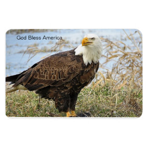 Íman "América Deus abençoe" Bald Eagle em flex. ímã