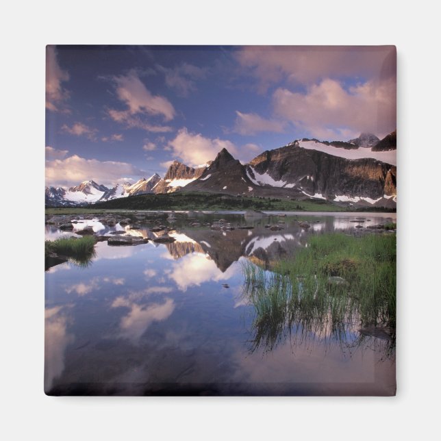 Íman América do Norte, Canadá, Alberta, Jasper 4 (Frente)