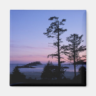 Íman América do Norte, Canadá, ilha de Vancouver, ár