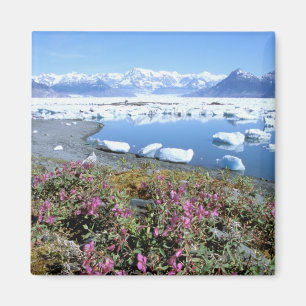 Íman América do Norte, EUA, Alasca, Príncipe William