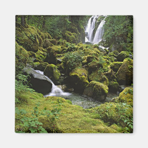 Íman América do Norte, EUA, Alasca. Uma cachoeira e