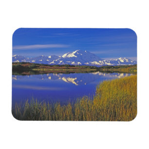 Íman América do Norte, EUA, Alaska, Denali NP,