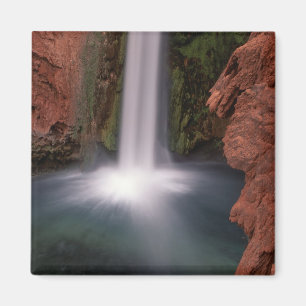 Íman América do Norte, EUA, Arizona, Havasu Canyon,