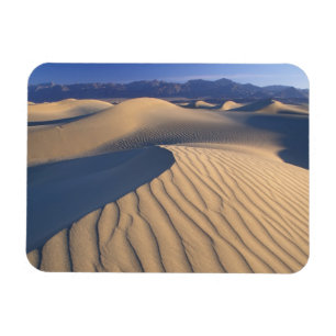 Íman América do Norte, EUA, Califórnia, Death Valley 