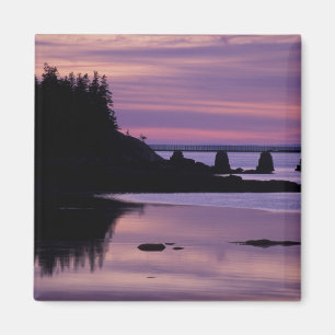 Íman América do Norte, EUA, EU, Isle Au Haut. Pato