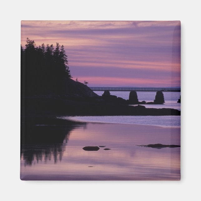 Íman América do Norte, EUA, EU, Isle Au Haut. Pato (Frente)