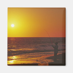Íman América do Norte, EUA, Flórida, Ilha Sanibel.