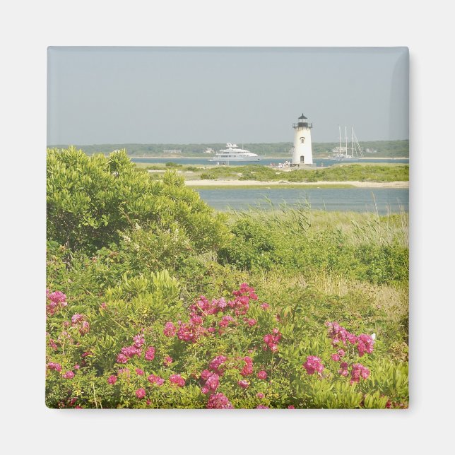 Íman América do Norte, EUA, Massachusetts, Martha's (Frente)