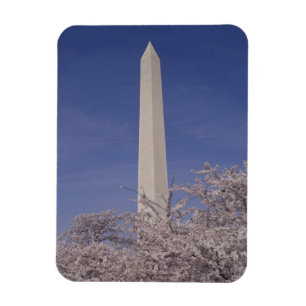 Íman América do Norte, EUA, Washington D.C.. Washington