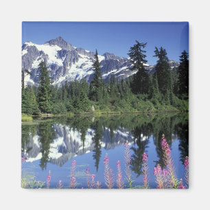 Íman América do Norte, EUA, Washington, Heather Meadows