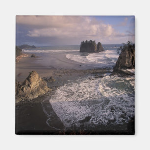 Íman América do Norte, EUA, Washington, Olympic NP,