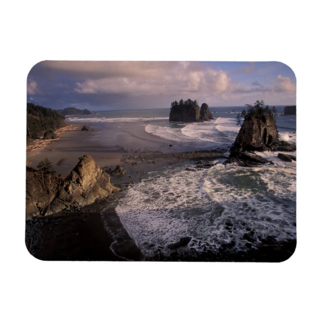 Íman América do Norte, EUA, Washington, Olympic NP, (Horizontal)