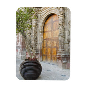 Íman América do Norte, México, estado de Guanajuato, Sa