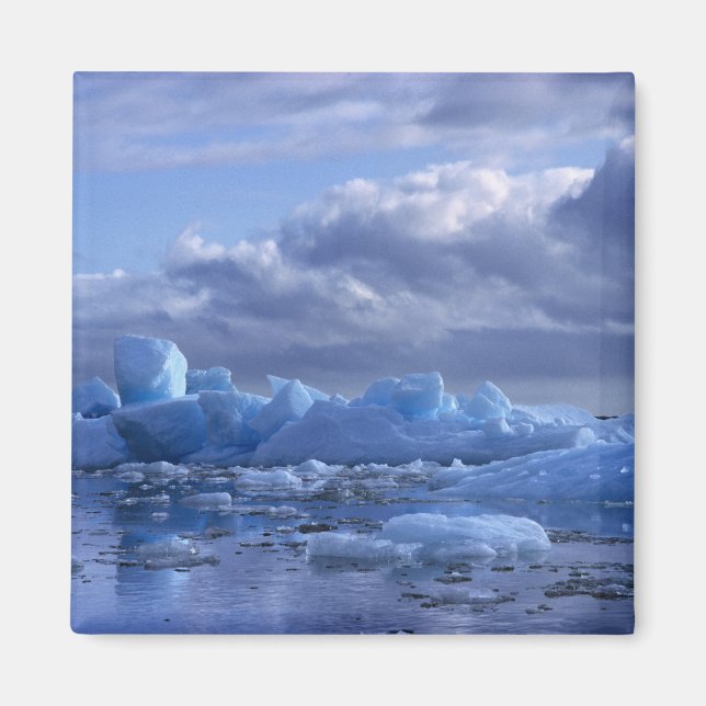 Íman América do Sul, Chile, San Rafael Lagoon NP. (Frente)