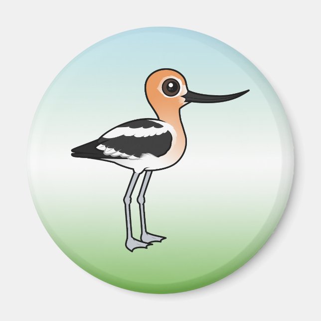Íman American Avocet (Frente)