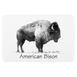 Íman American Bison