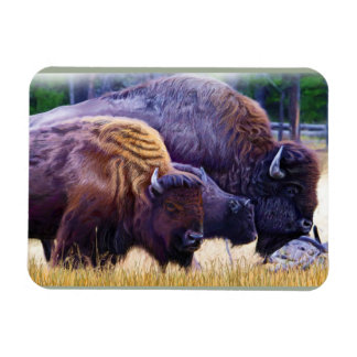 Íman American Bison Family