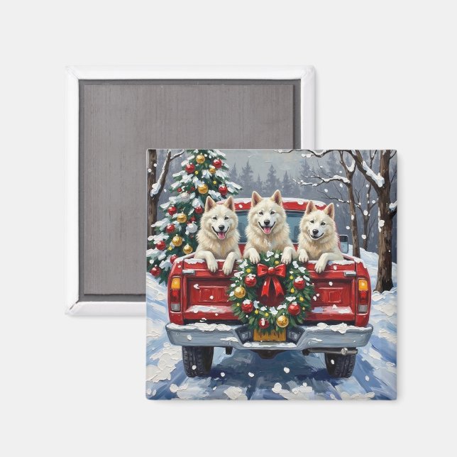 Íman American Eskimo Dog Christmas Red Truck Holiday (Front/Back)