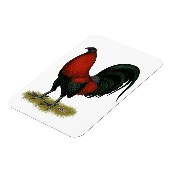 Íman American Game BB Black Red Rooster (Left Side)