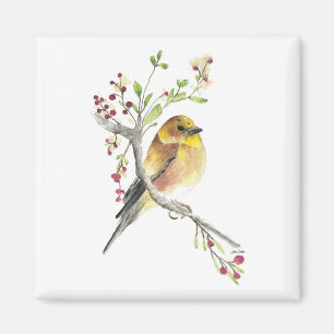 Íman American Goldfinch Bird Watercolor Art Magnet