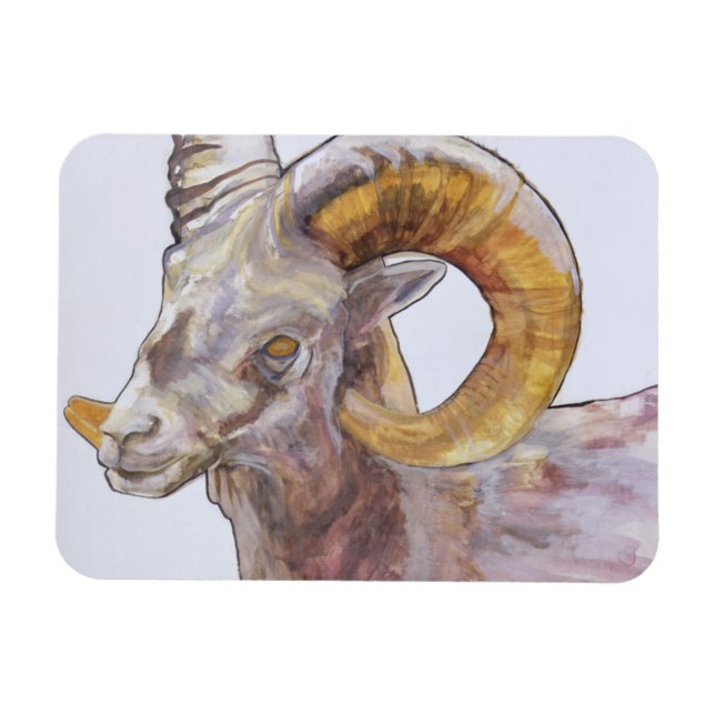 Íman American Long Horn 2004 (Horizontal)