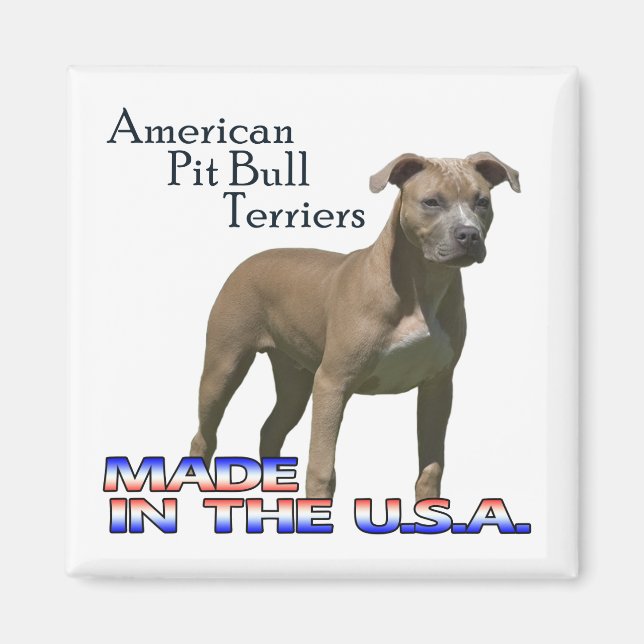 Íman "American Pit Bull Terriers" : Magnet Quadrado (Frente)