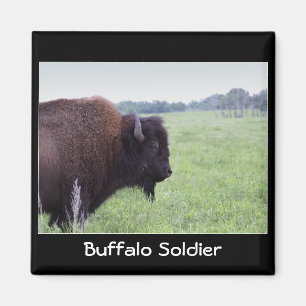 Íman American Plains Buffalo Bison Magnet
