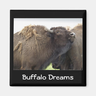 Íman American Plains Buffalo Bison Magnet