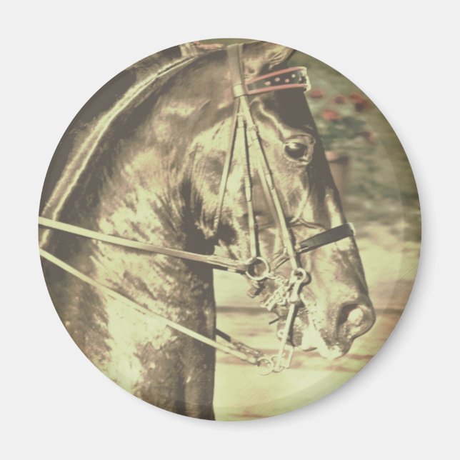 Íman American Saddlepura Faux Vintage (Frente)