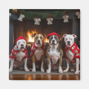 Íman American Staffordshire ao lado da Lareira Natal